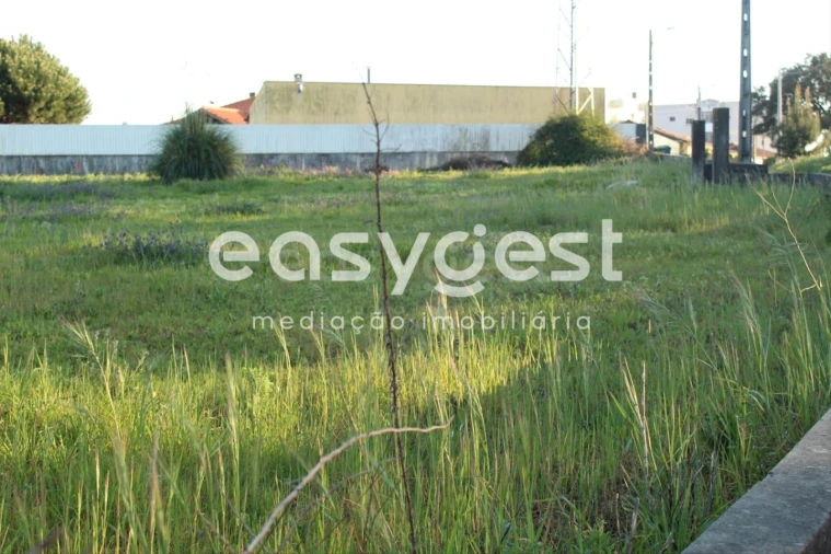 Terreno para Venda em Ovar, São João, Arada e São Vicente de Pereira Jusã Foto 1