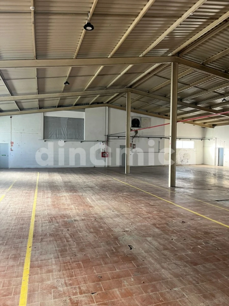 Armazém para Venda em Ruivães e Novais Foto 7