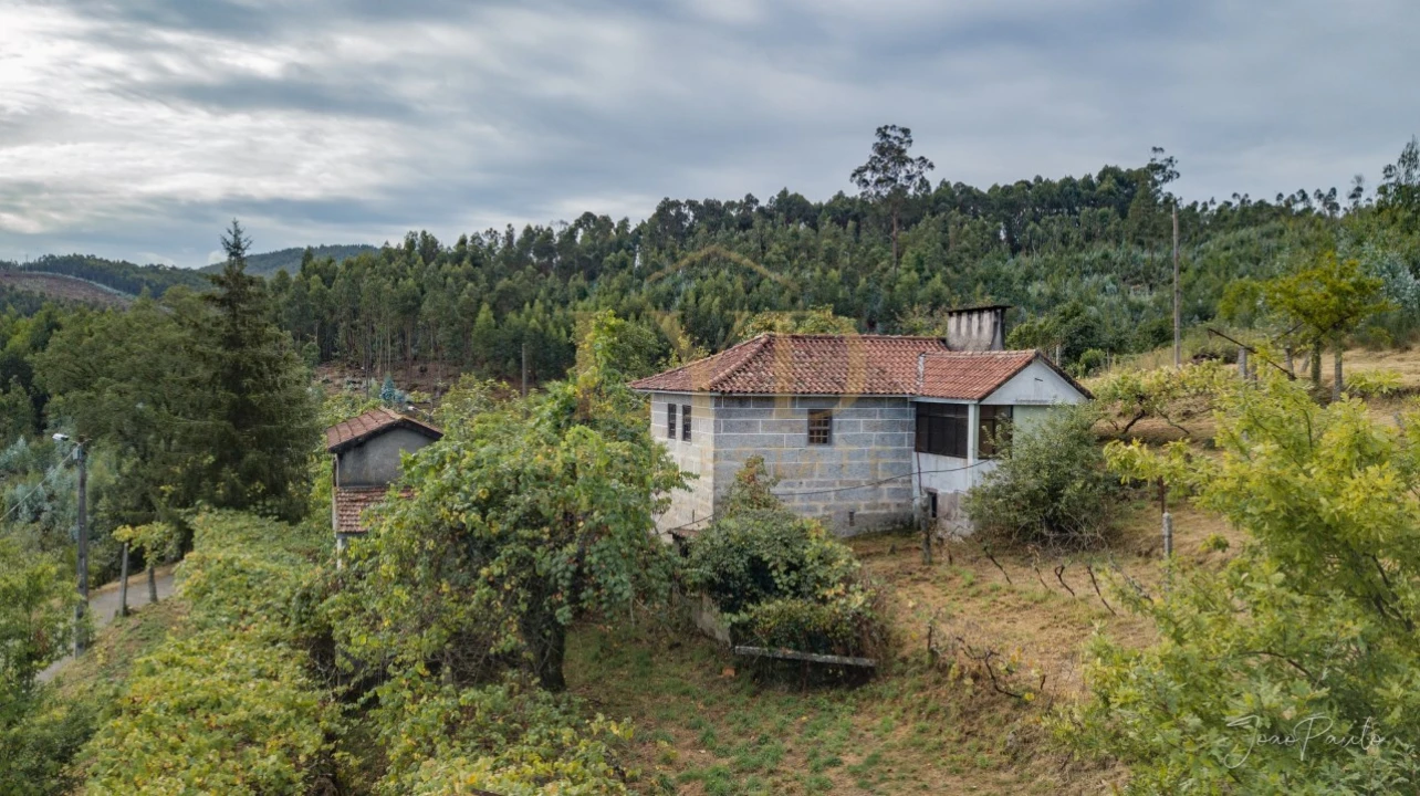 Quinta T2 para Venda em Raiva, Pedorido e Paraíso Foto 2