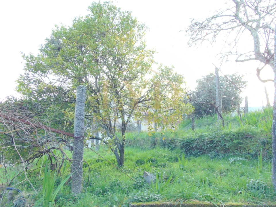 Quinta T2 para Venda em Raiva, Pedorido e Paraíso Foto 22