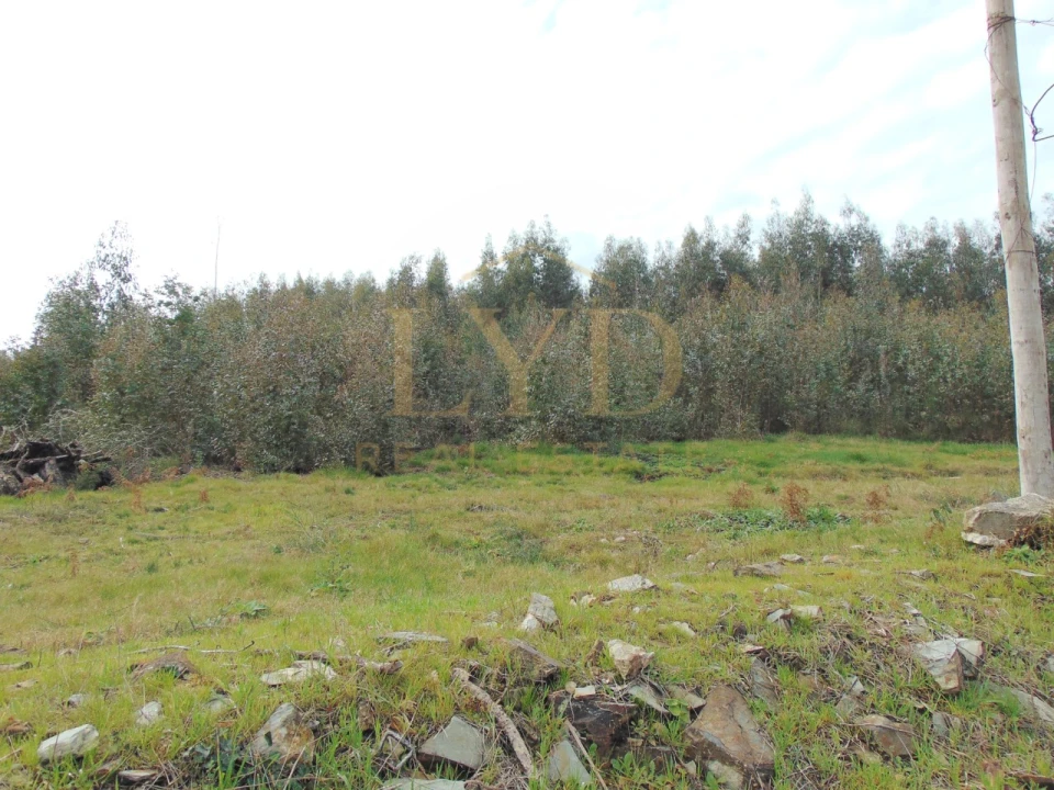 Quinta T2 para Venda em Raiva, Pedorido e Paraíso Foto 24