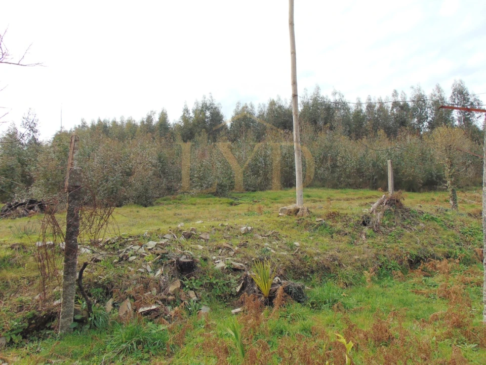 Quinta T2 para Venda em Raiva, Pedorido e Paraíso Foto 25