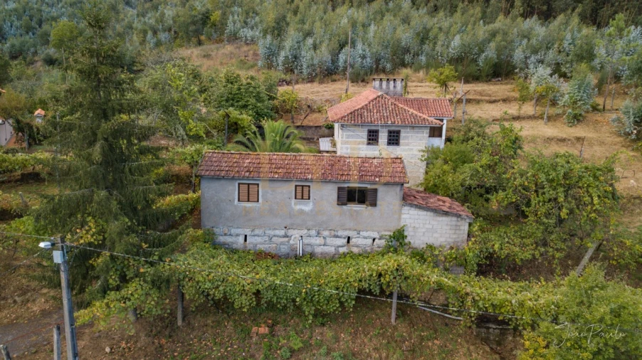 Quinta T2 para Venda em Raiva, Pedorido e Paraíso