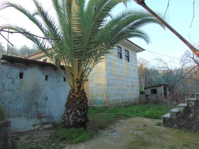 Quinta T2 para Venda em Raiva, Pedorido e Paraíso Foto 21