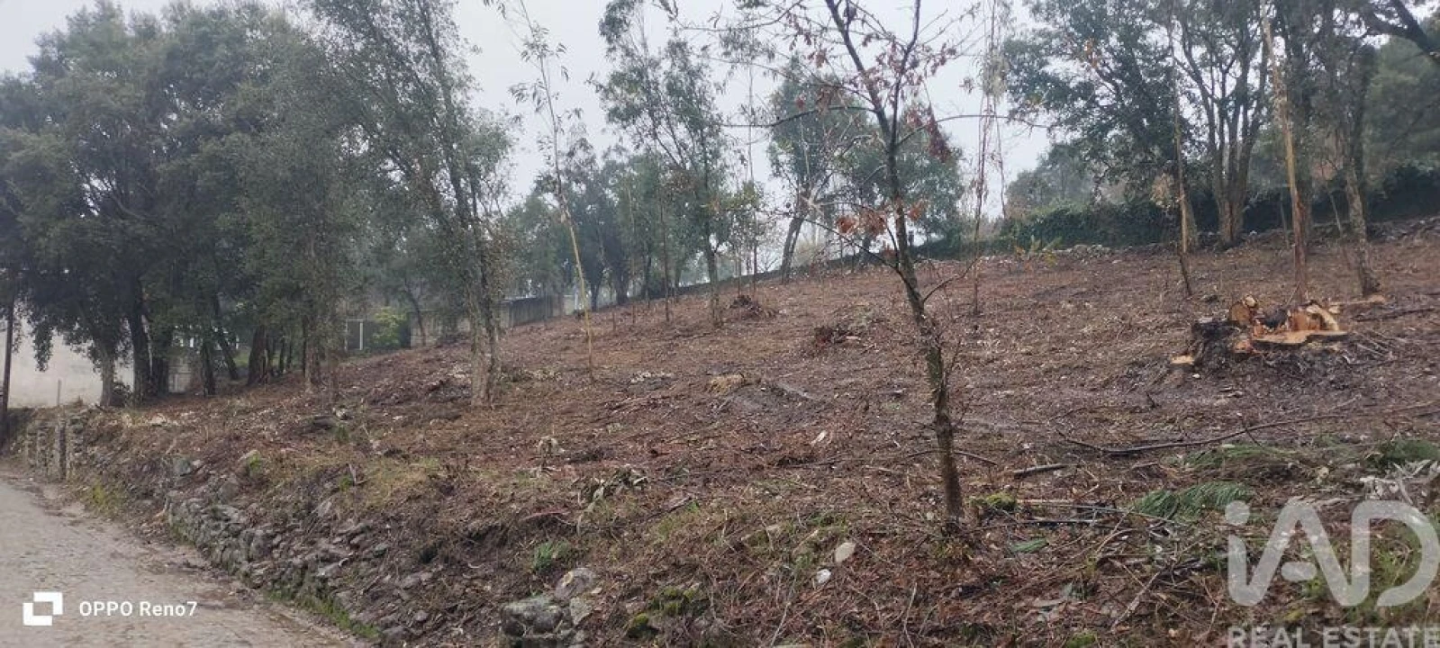 Terreno para Venda em Fornelo e Vairão Foto 9