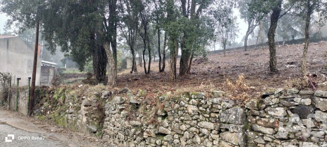 Terreno para Venda em Fornelo e Vairão Foto 6