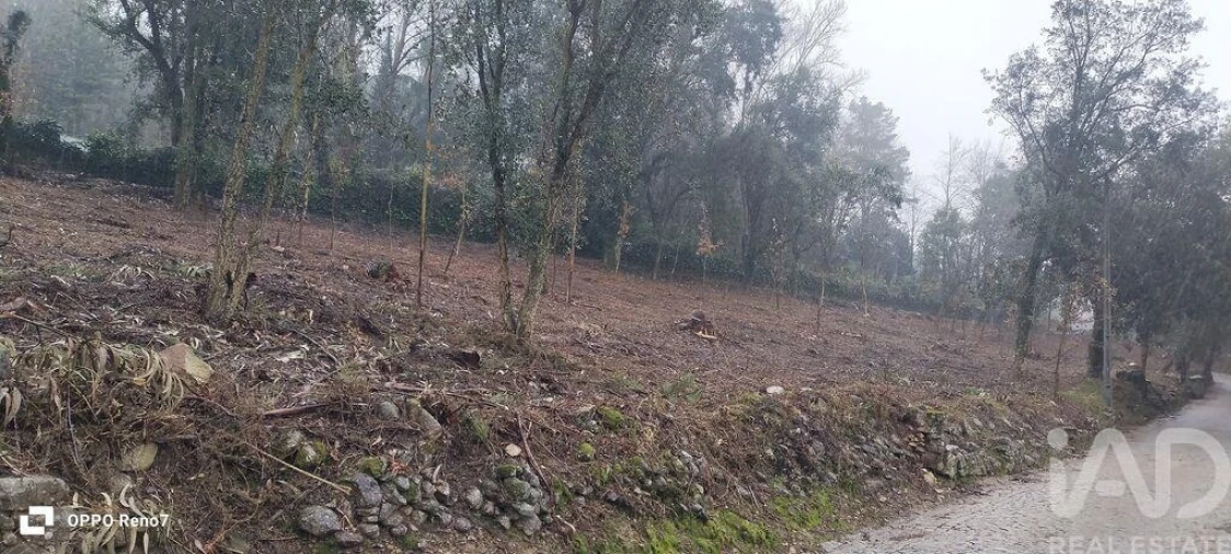 Terreno para Venda em Fornelo e Vairão Foto 8