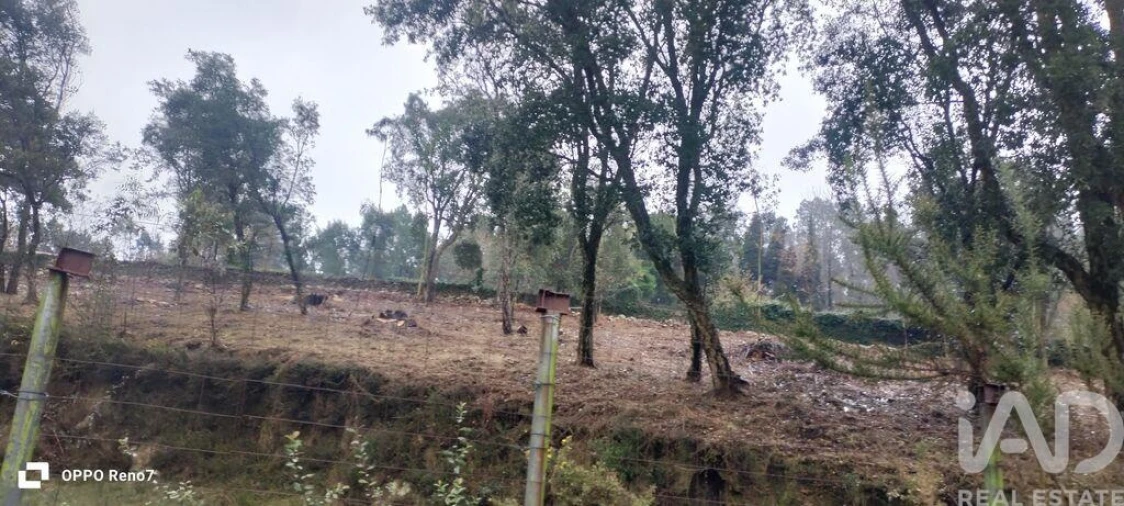 Terreno para Venda em Fornelo e Vairão Foto 19