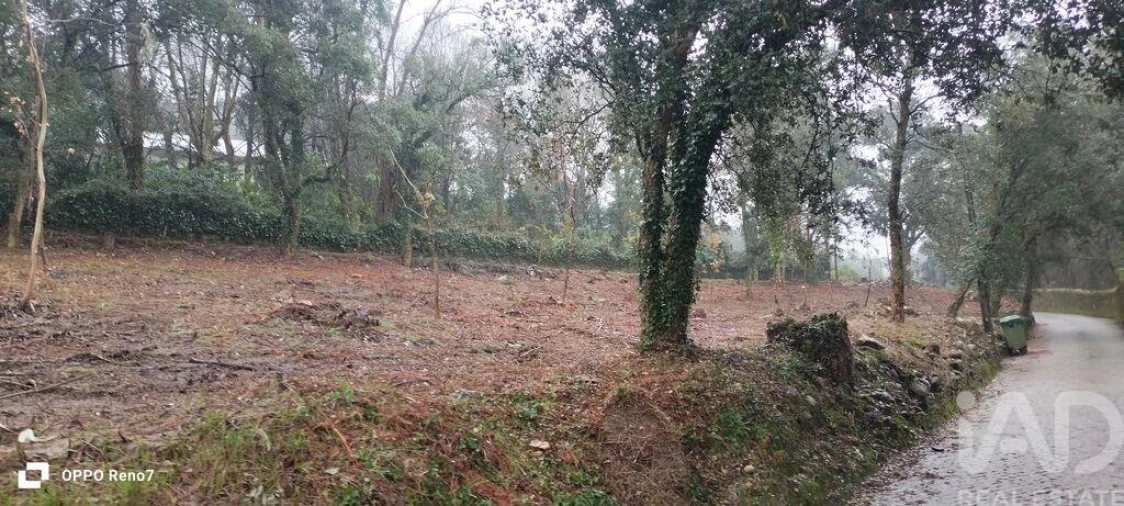 Terreno para Venda em Fornelo e Vairão Foto 5