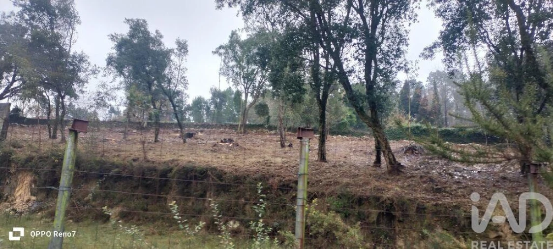 Terreno para Venda em Fornelo e Vairão Foto 25