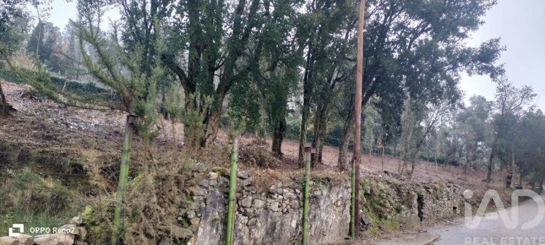 Terreno para Venda em Fornelo e Vairão Foto 17