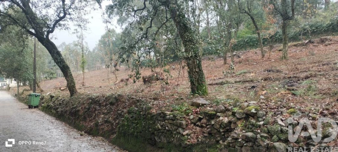 Terreno para Venda em Fornelo e Vairão Foto 12