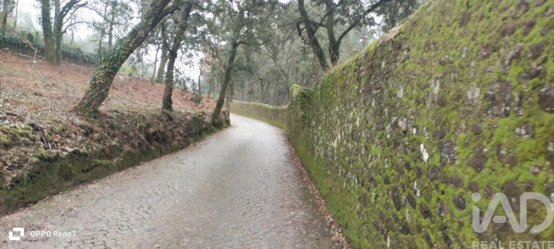 Terreno para Venda em Fornelo e Vairão Foto 11