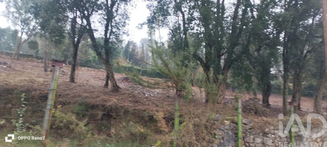 Terreno para Venda em Fornelo e Vairão Foto 20