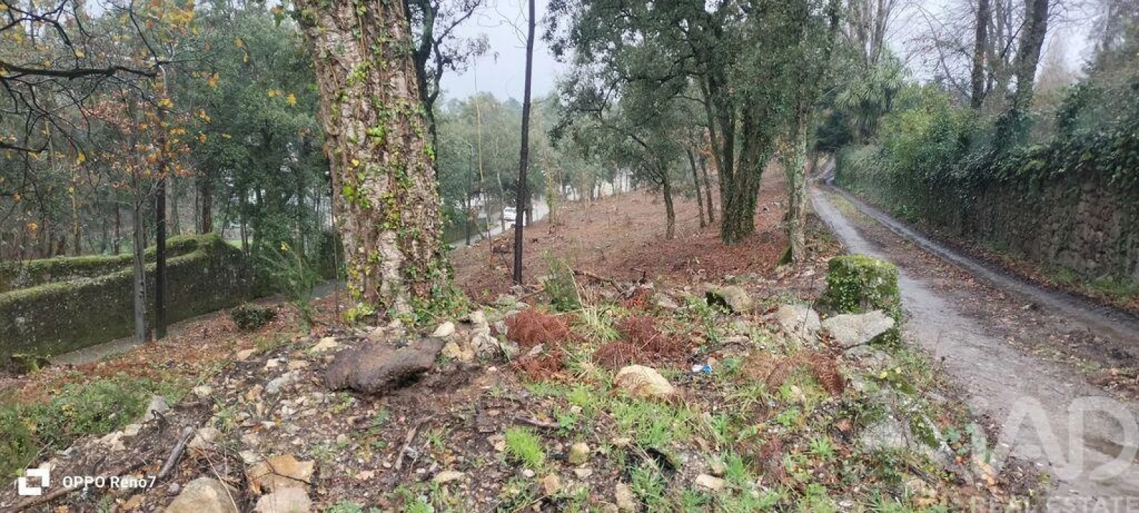 Terreno para Venda em Fornelo e Vairão Foto 14