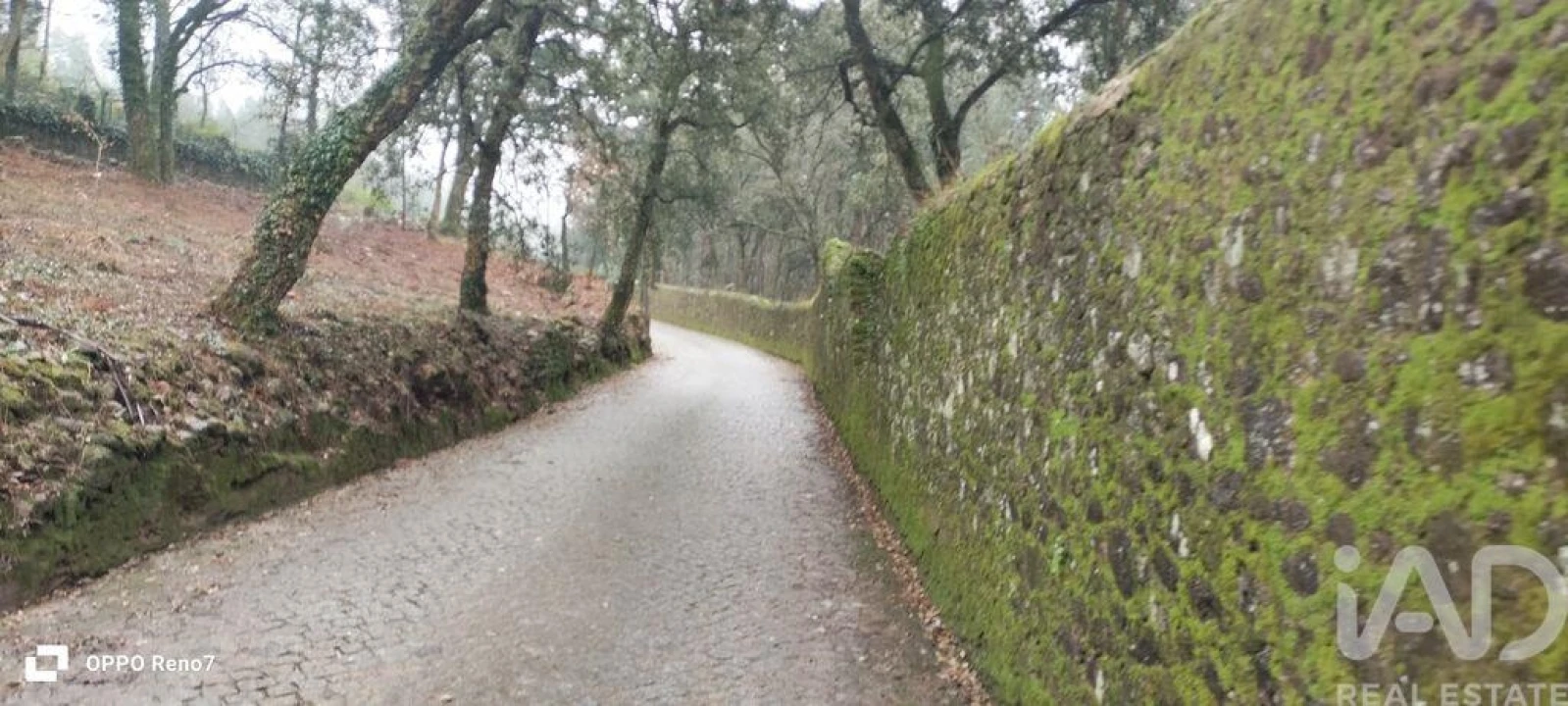 Terreno para Venda em Fornelo e Vairão Foto 11