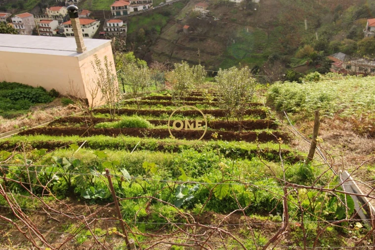 Terreno para Venda em Estreito de Camara de Lobos