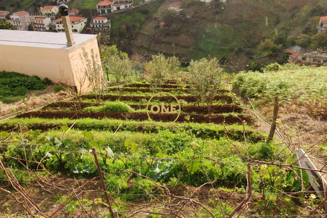 Terreno para Venda em Estreito de Camara de Lobos Foto 1
