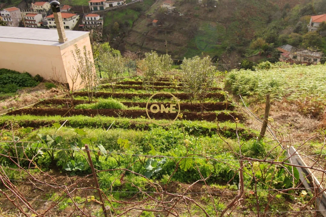 Terreno para Venda em Estreito de Camara de Lobos Foto 2