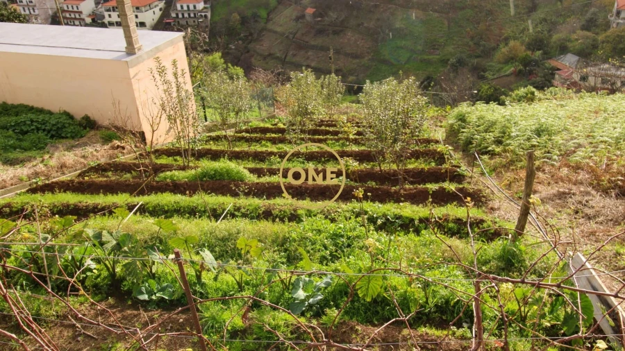 Terreno para Venda em Estreito de Camara de Lobos