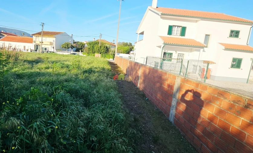 Terreno para Venda em Ventosa Foto 10