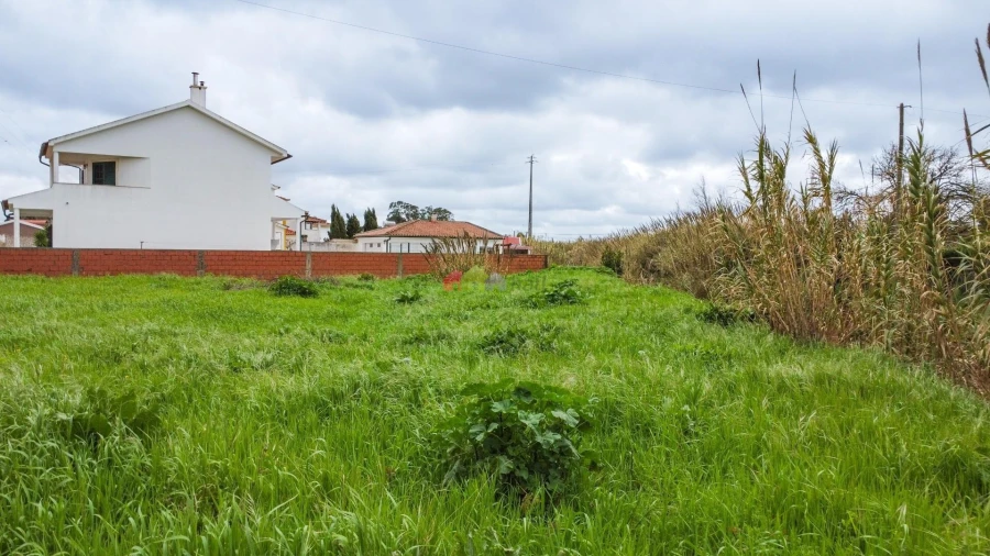 Terreno para Venda em Ventosa Foto 27
