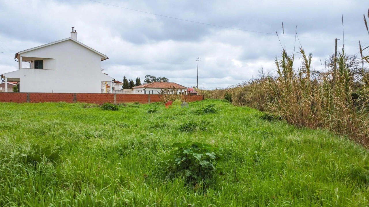 Terreno para Venda em Ventosa Foto 27