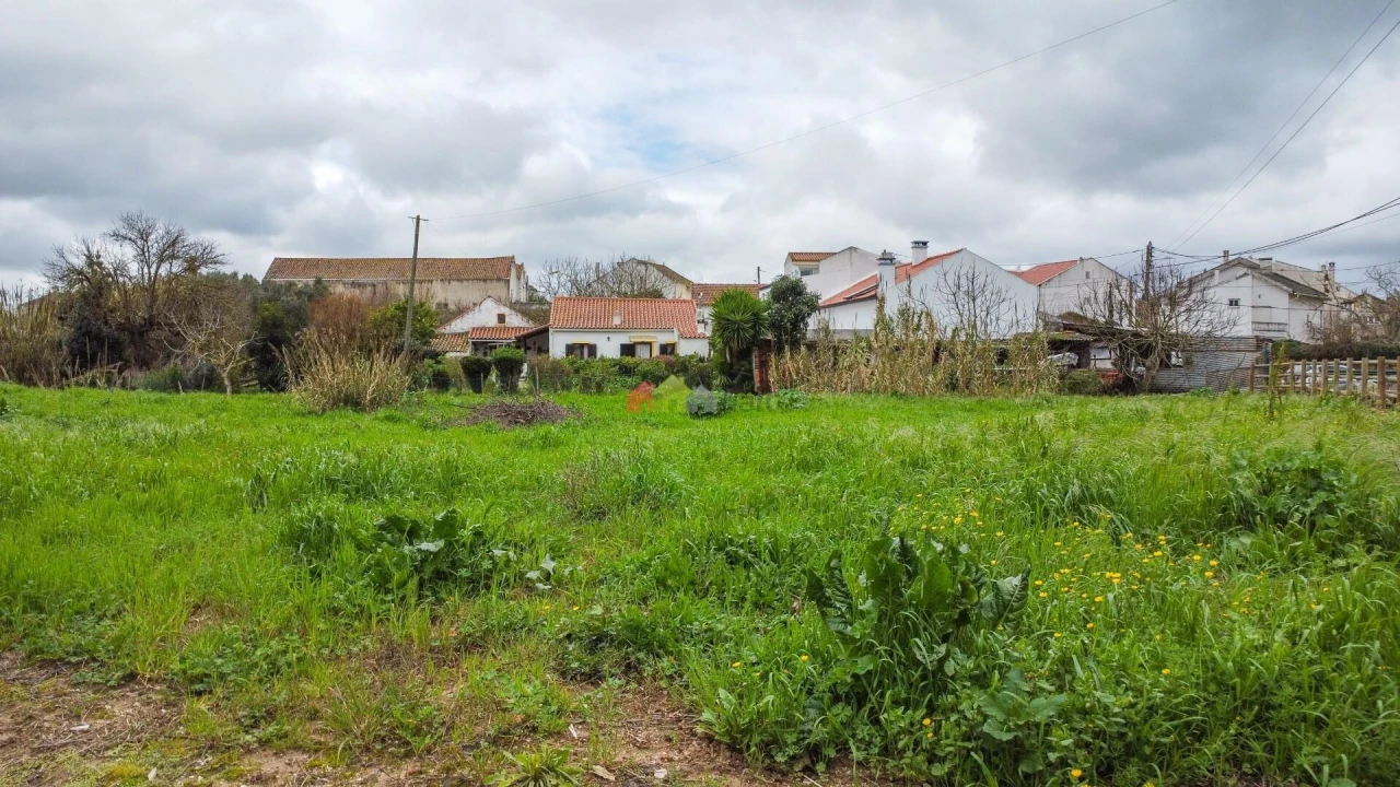 Terreno para Venda em Ventosa Foto 23