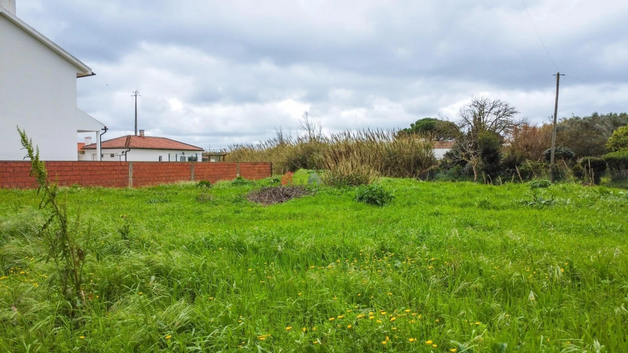 Terreno para Venda em Ventosa Foto 24