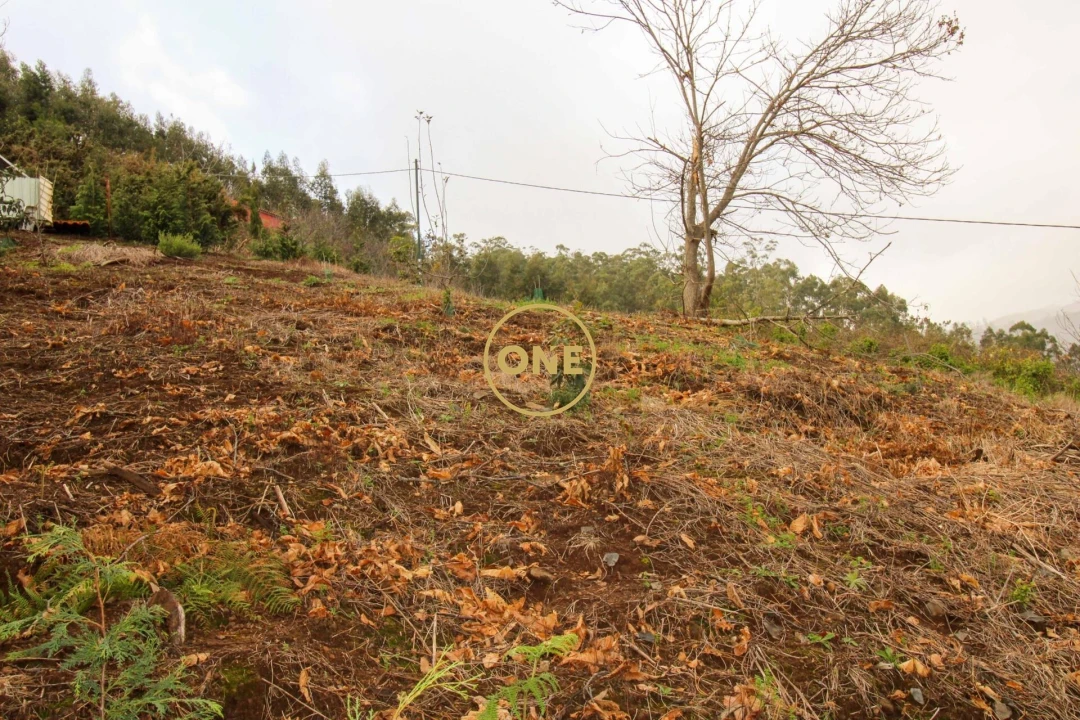 Terreno para Venda em Estreito de Camara de Lobos Foto 5