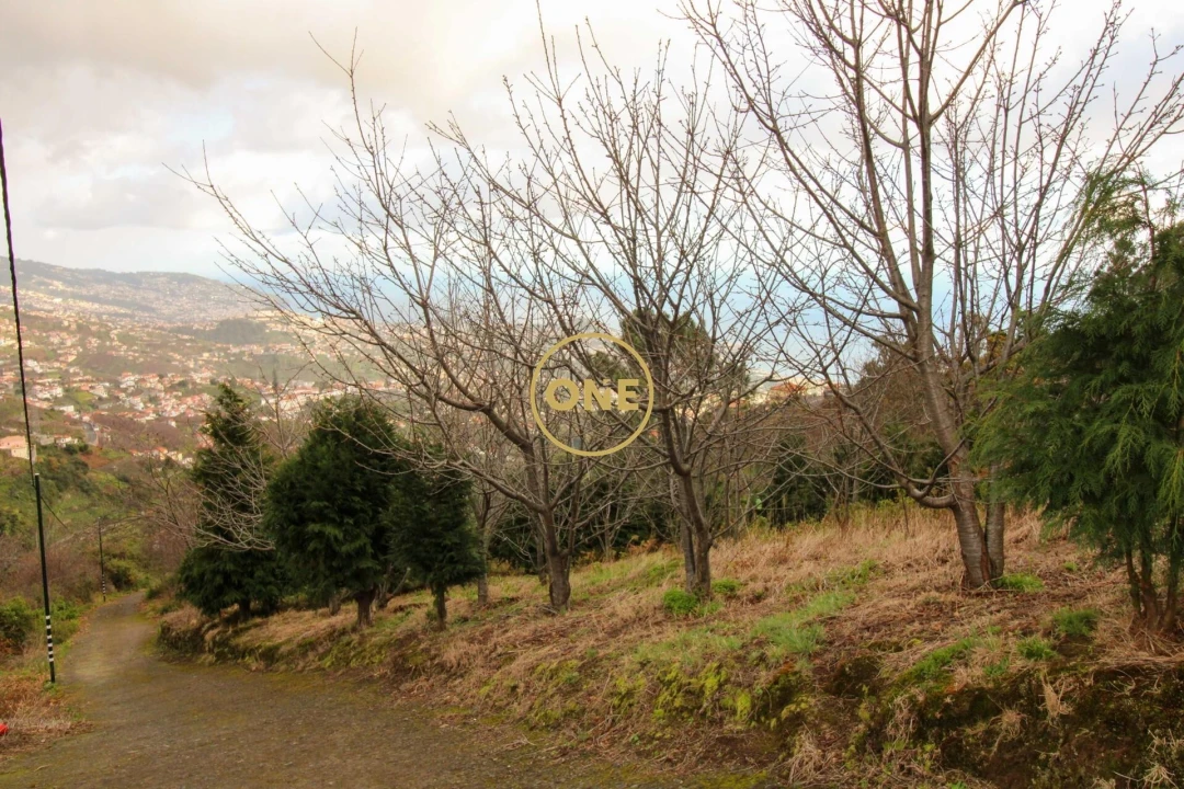 Terreno para Venda em Estreito de Camara de Lobos Foto 2