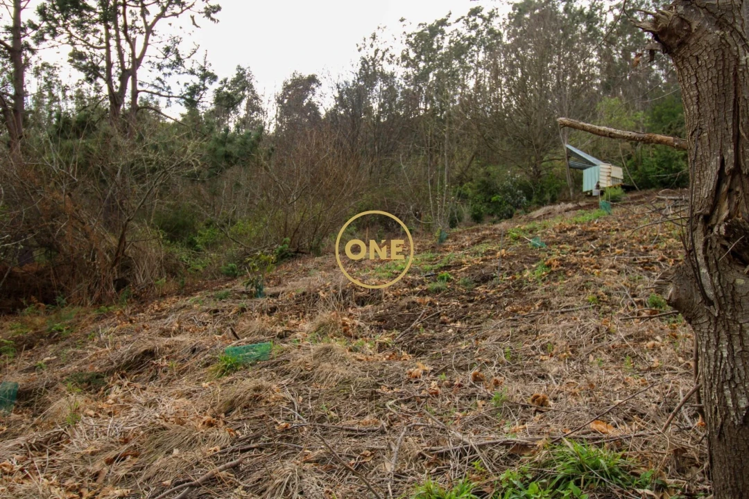 Terreno para Venda em Estreito de Camara de Lobos Foto 6
