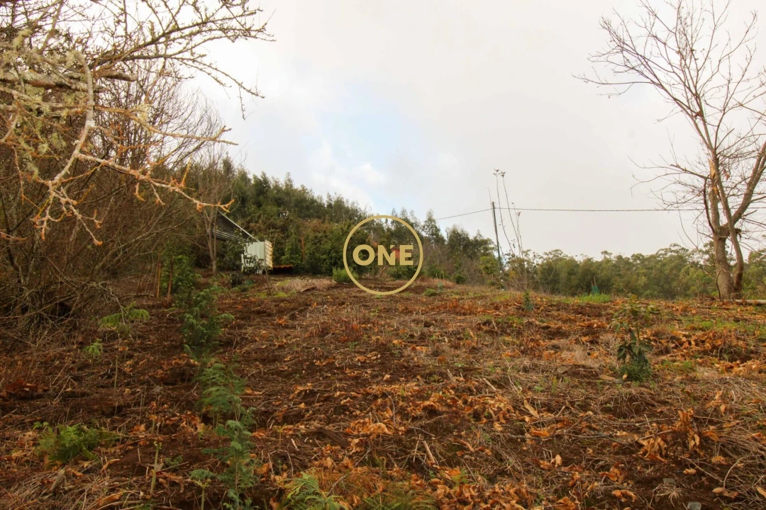 Terreno para Venda em Estreito de Camara de Lobos Foto 4