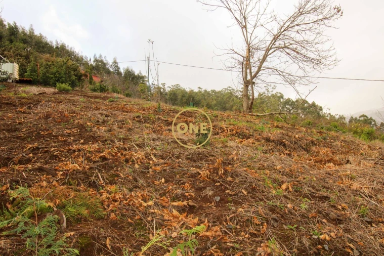 Terreno para Venda em Estreito de Camara de Lobos Foto 5