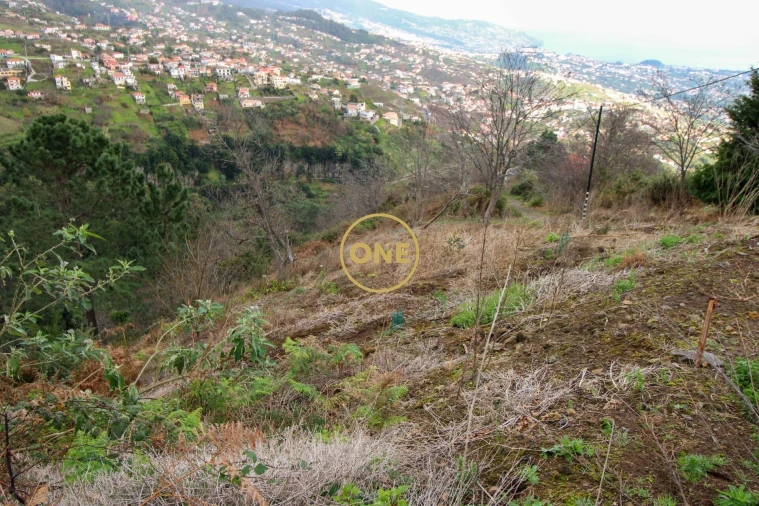 Terreno para Venda em Estreito de Camara de Lobos