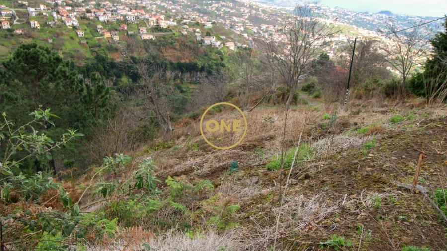 Terreno para Venda em Estreito de Camara de Lobos