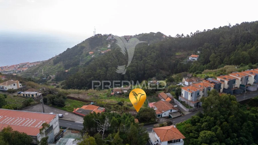 Terreno para Venda em Caniço Foto 6