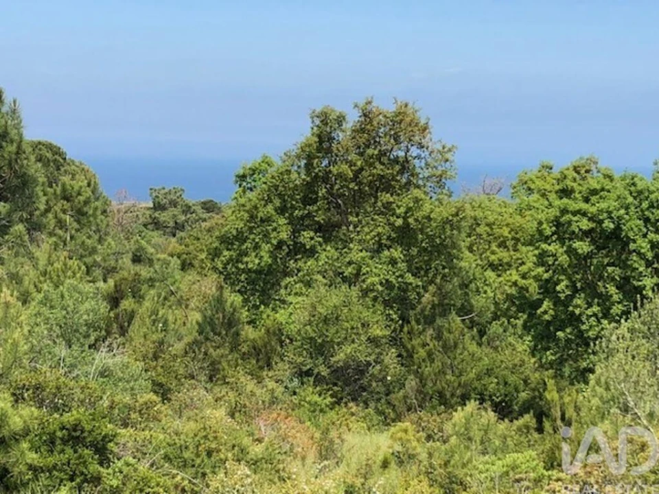 Terreno para Venda em Sesimbra (Castelo) Foto 17