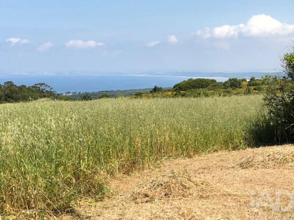 Terreno para Venda em Sesimbra (Castelo) Foto 16