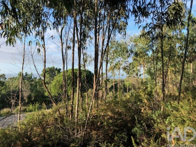 Terreno para Venda em Sesimbra (Castelo) Foto 6