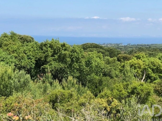 Terreno para Venda em Sesimbra (Castelo) Foto 18