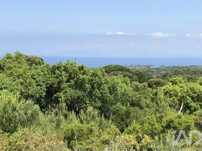 Terreno para Venda em Sesimbra (Castelo)