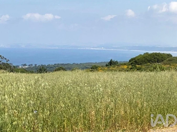 Terreno para Venda em Sesimbra (Castelo) Foto 14