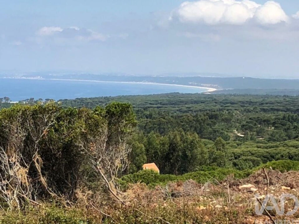 Terreno para Venda em Sesimbra (Castelo) Foto 10