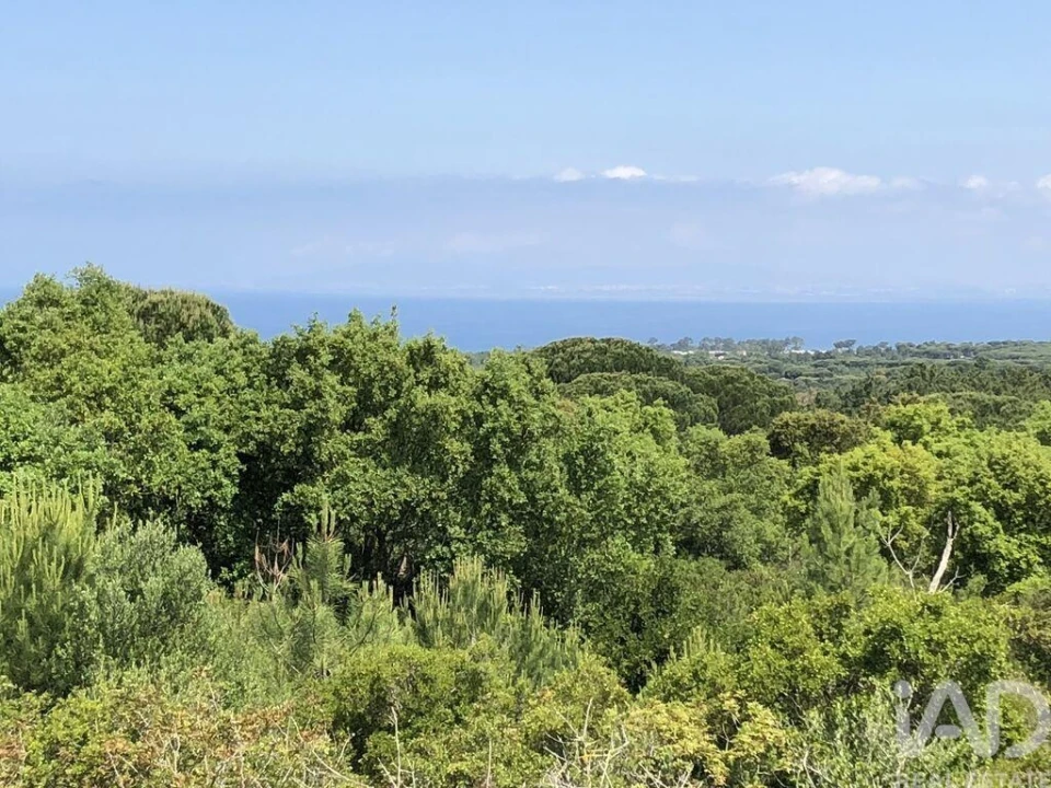 Terreno para Venda em Sesimbra (Castelo) Foto 1