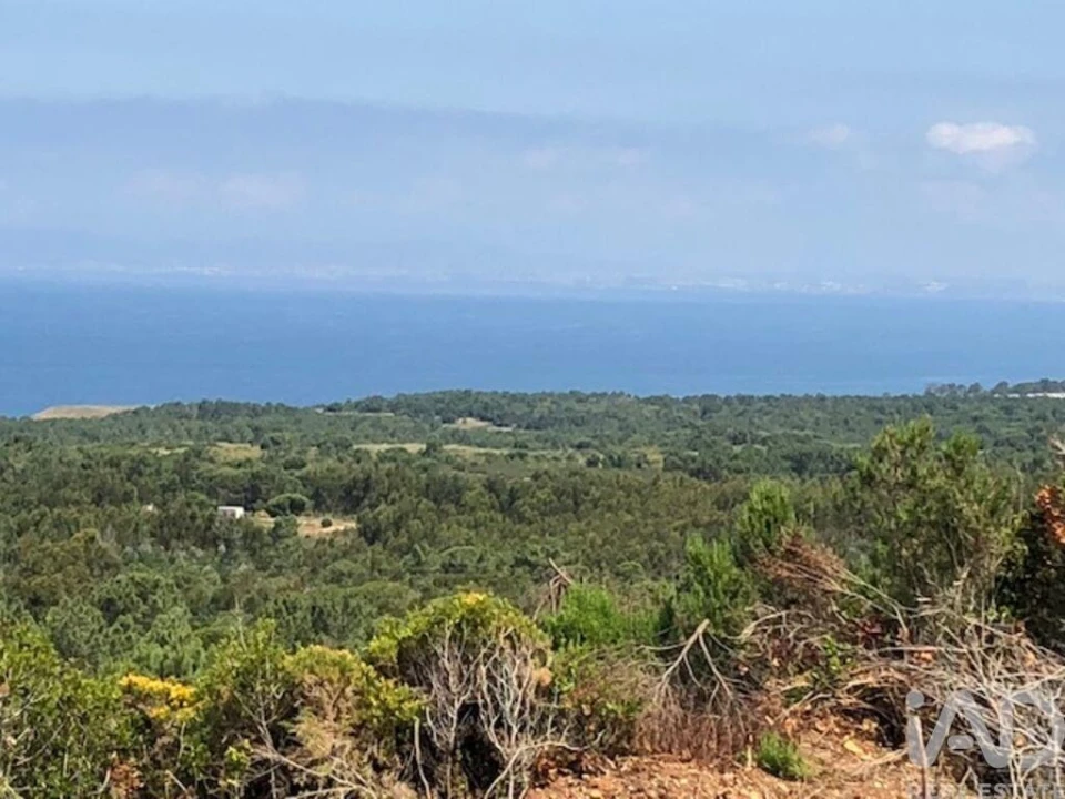 Terreno para Venda em Sesimbra (Castelo) Foto 9