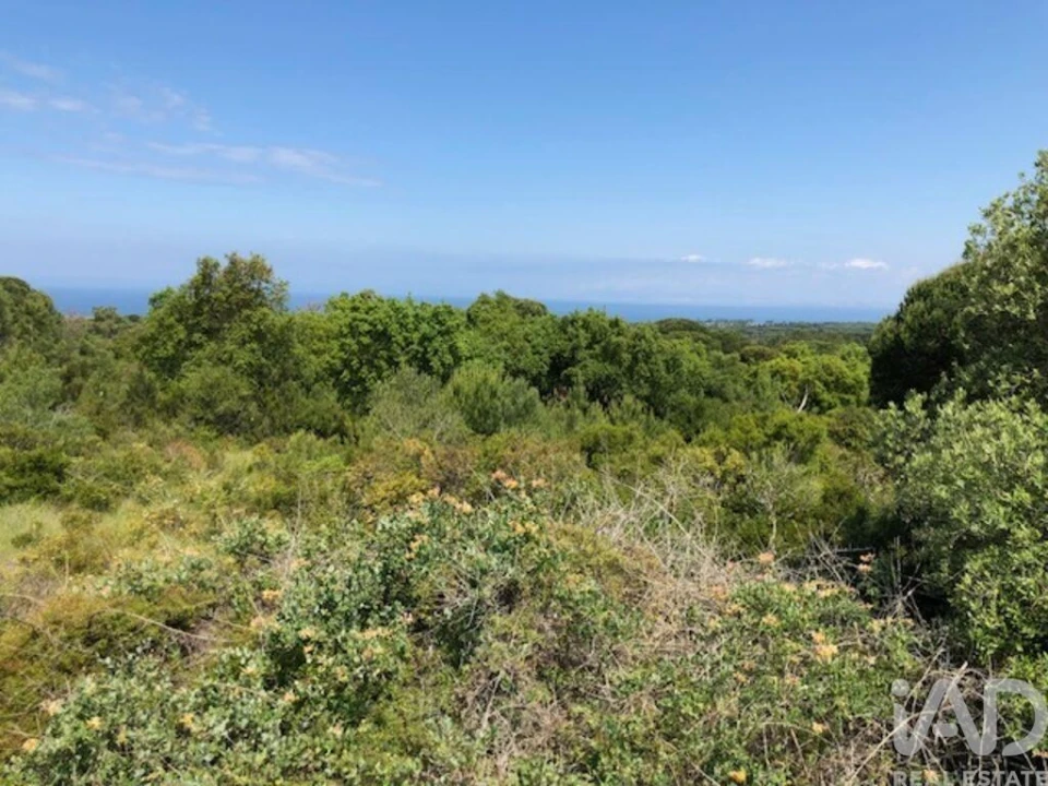 Terreno para Venda em Sesimbra (Castelo) Foto 15