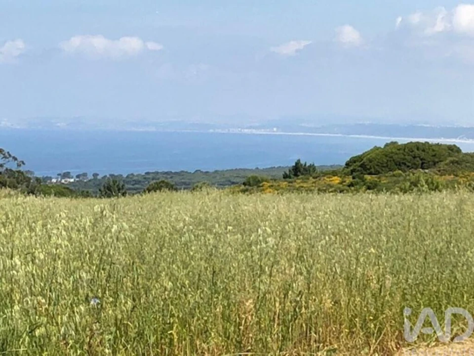 Terreno para Venda em Sesimbra (Castelo) Foto 14