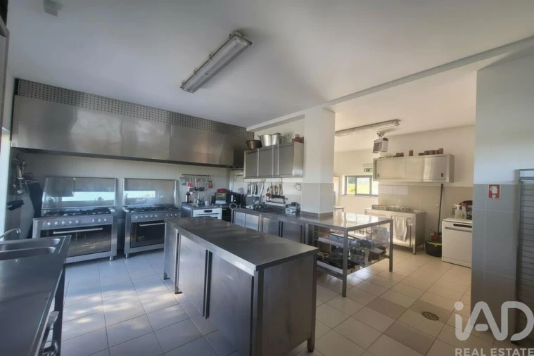 Quinta T5 para Venda em São Vicente de Lafões Foto 24