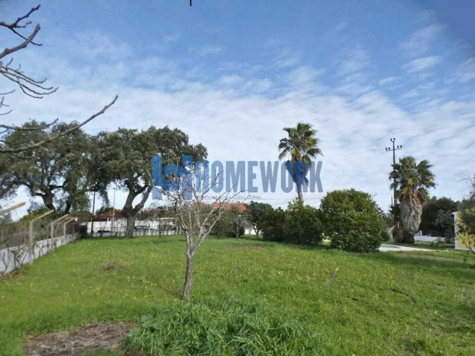 Moradia T3 para Venda em Glória do Ribatejo e Granho Foto 4